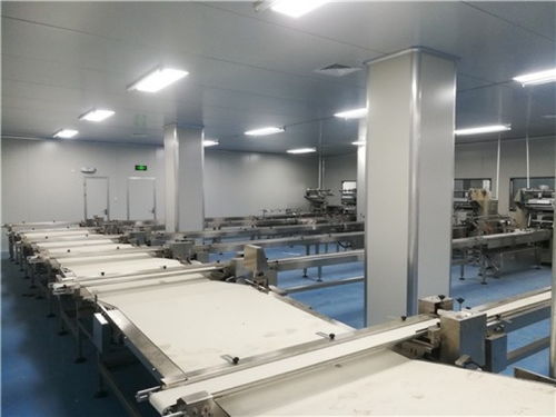 焦作食品廠凈化車間裝修等級(jí)劃分與無菌室凈化裝修過濾設(shè)備解析